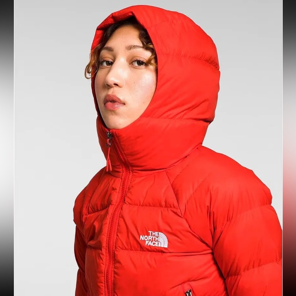 The North Face Hydrenalite puffer hoodie